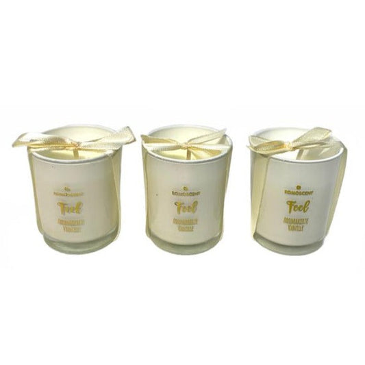 Scented Candle (Set Of 3) Price in Pakistan