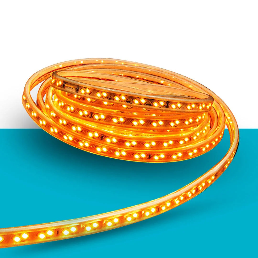 factor salsa strip light Price in Pakistan