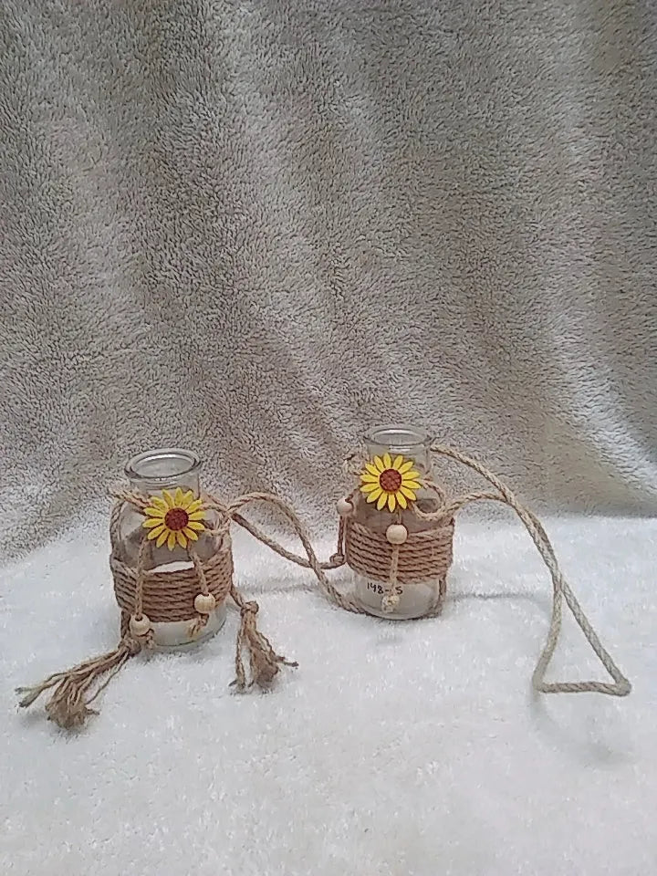 hanging vase indoor plants Price in Pakistan