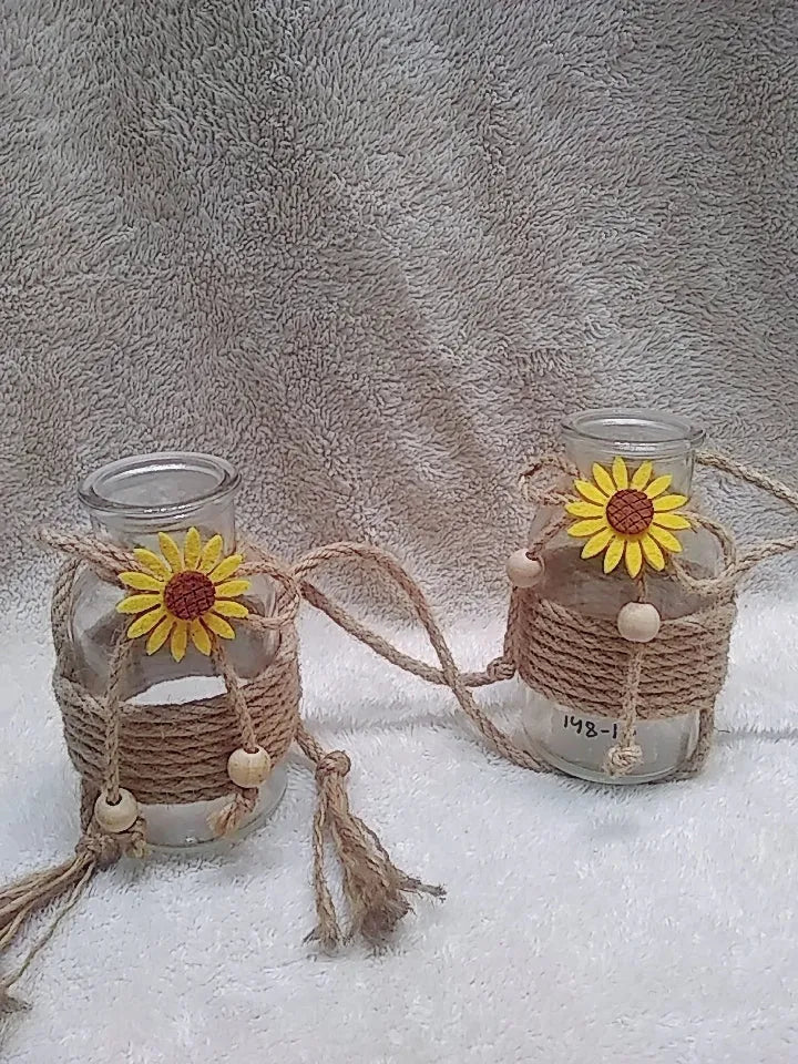 hanging vase indoor plants Price in Pakistan