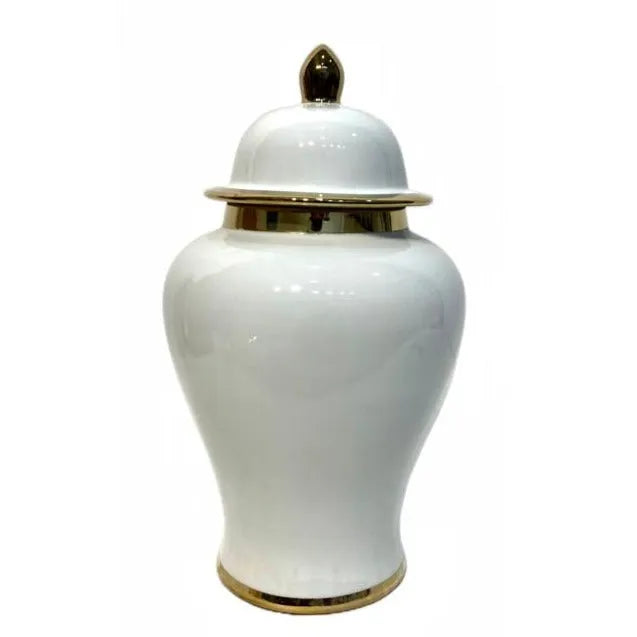 Ceramic Vase Set Of 2 Price in Pakistan