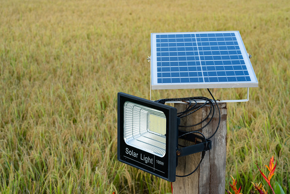 Innovative Solar Lighting Solutions for Eco-Friendly Homes