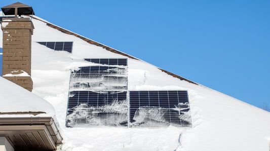 Best Solar Panels for Harsh Weather Conditions