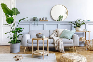 Affordable Home Decor Pakistan – Stylish Decoration & Home Accessories