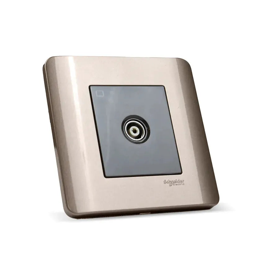 vivace shuttered plate Price in Pakistan