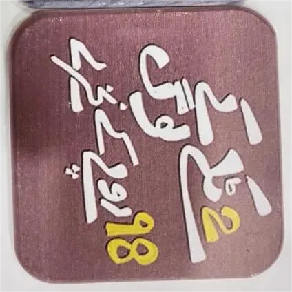 Printed Wooden Tea Coaster – Funny Desi Biryani Quote Design