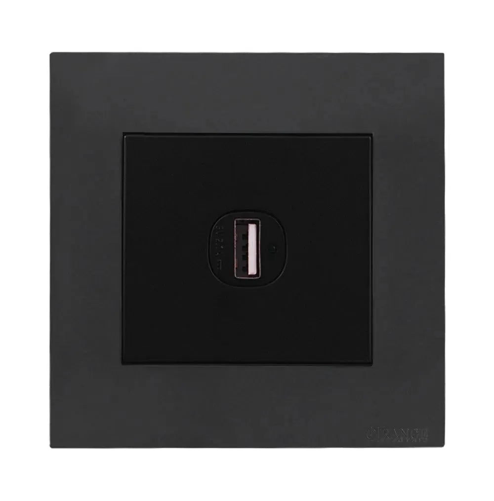 Akoya 2 Gang 8 wire 8 contact Data Outlet Gun Metallic Price in Pakistan