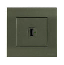 Akoya 2 Gang Type – A USB Charger Outlet