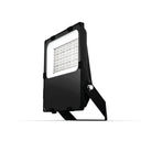 Starflood GEN-2 LED Flood Light