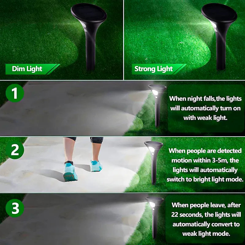 Crescent bear 3D LED Lamp Price in Pakistan