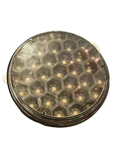 SE Honey Comb Light Price in Pakistan