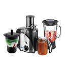 Anex AG-181EX Deluxe Juicer Blender & Grinder