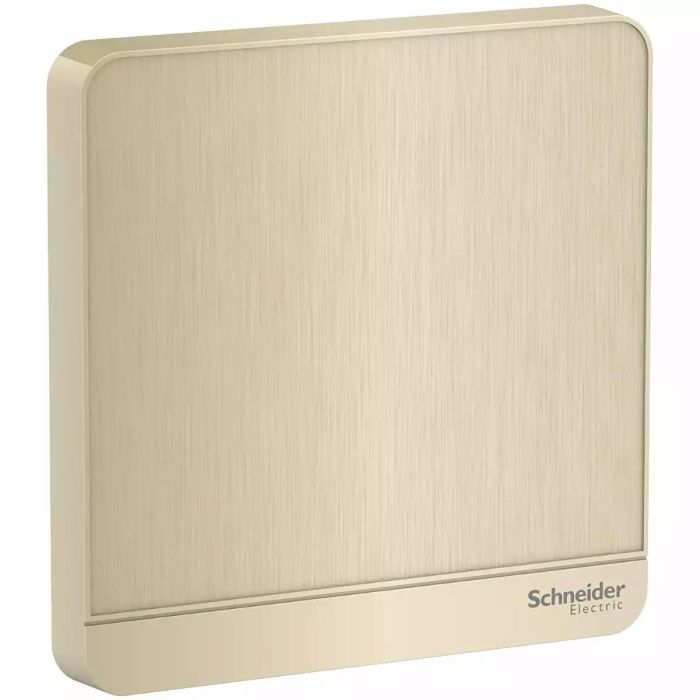 Clipsal AvatarOn 1 Gang metal gold Blank Plate Price in Pakistan