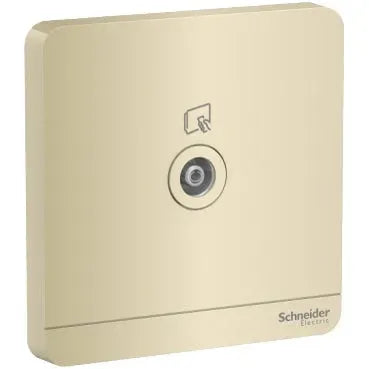 Clipsal AvatarOn TV Socket 1 Gang Wine Gold Price in Pakistan 