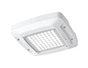 Lighting Canopy Led Downlight