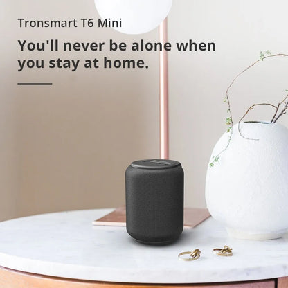 Tronsmart Element T6 Mini Speaker Price in Pakistan 