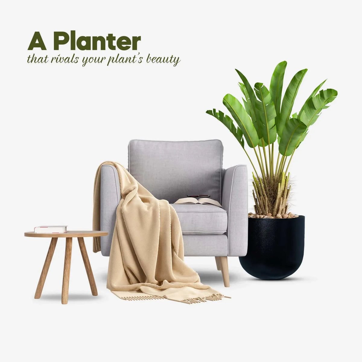 Fiberglass Planter Price in Pakistan