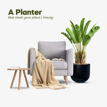 Fiberglass Planter Price in Pakistan