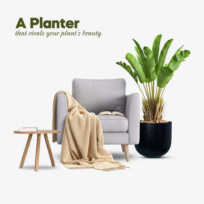 Fiberglass Planter Price in Pakistan
