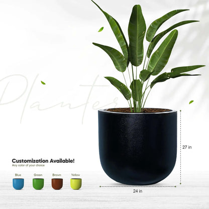 Fiberglass Planter Large Price in Pakistan