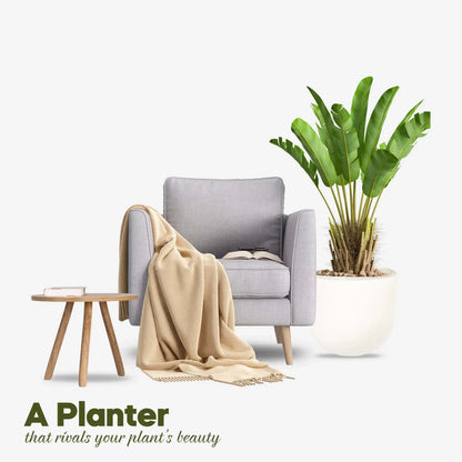 Fiberglass Planter Large  Price in Pakistan