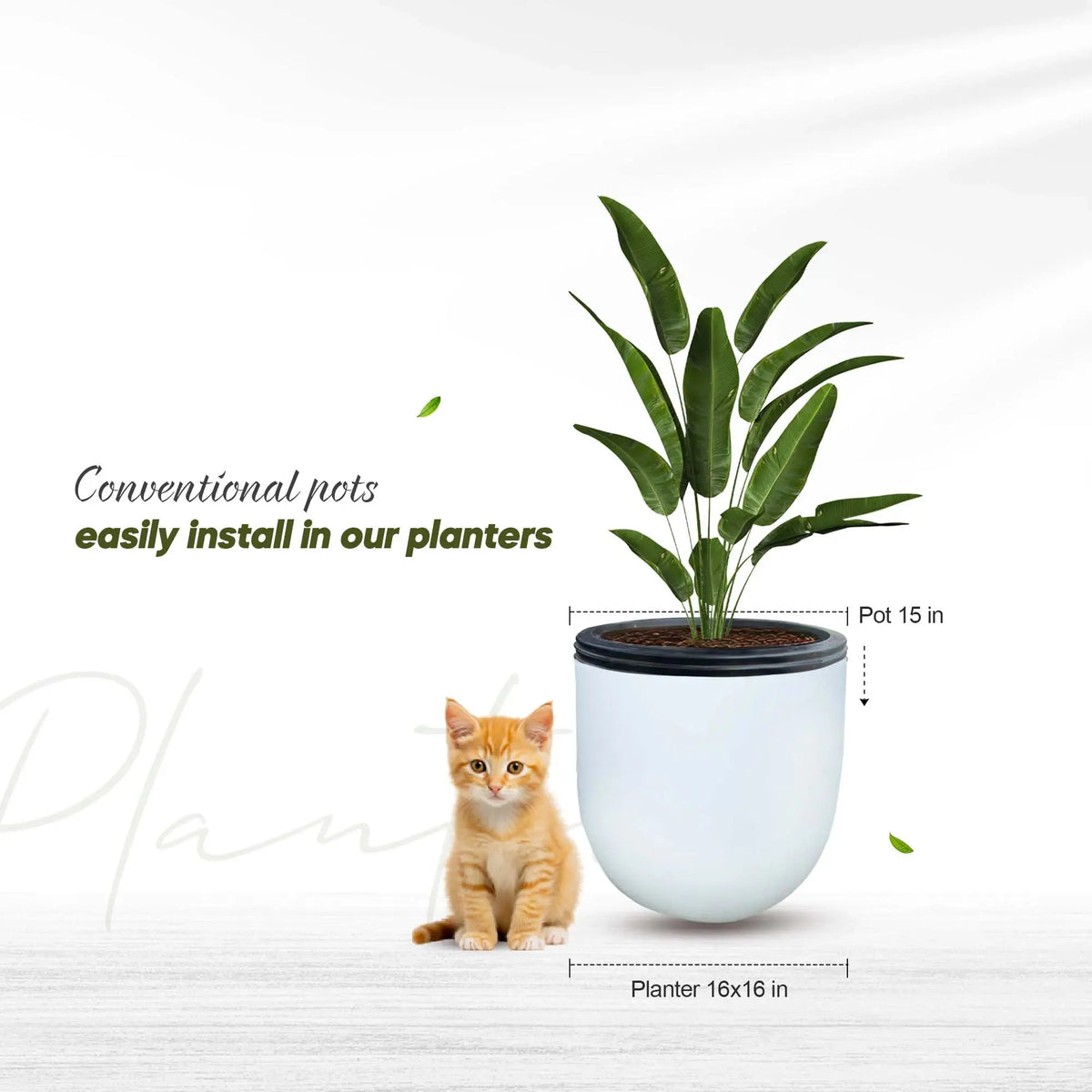 Fiberglass Planter white Price in Pakistan