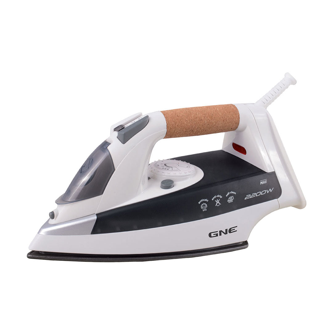 Gaba National GN 202 Steam Iron Price in Pakistan 