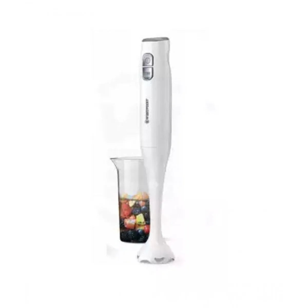 Gaba GN 5189/19 Hand Blender & Copper Cup Price in Pakistan 