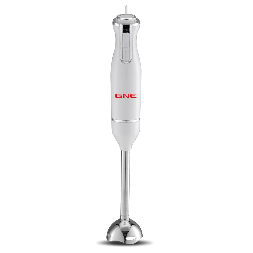 Gaba National GN 5190/21 Hand Blender Price in Pakistan Main image