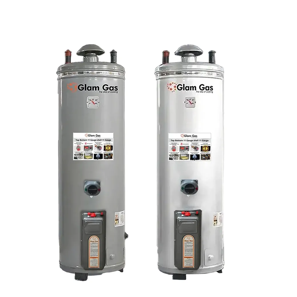 Glam Gas W/H 11x14 Electric + Gas Geyser | Stainless Steel Price In Pakistan Main image
