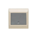 Clopal Golden Metallic Series 20A Double Pole Switch