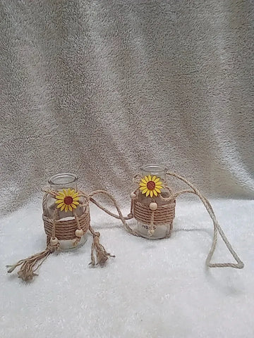hanging vase indoor plants Price in Pakistan