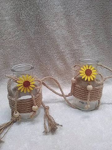 hanging vase indoor plants Price in Pakistan