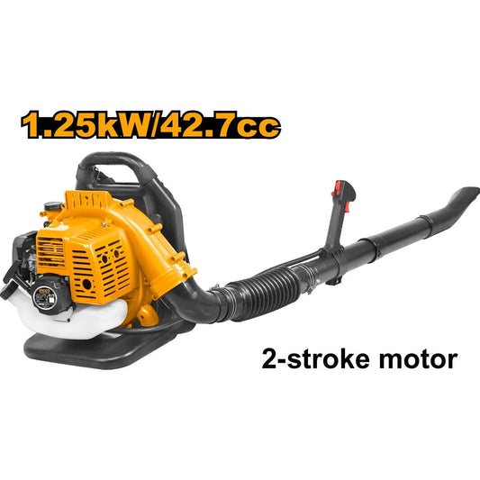INGCO Gasoline Blower Price in Pakistan