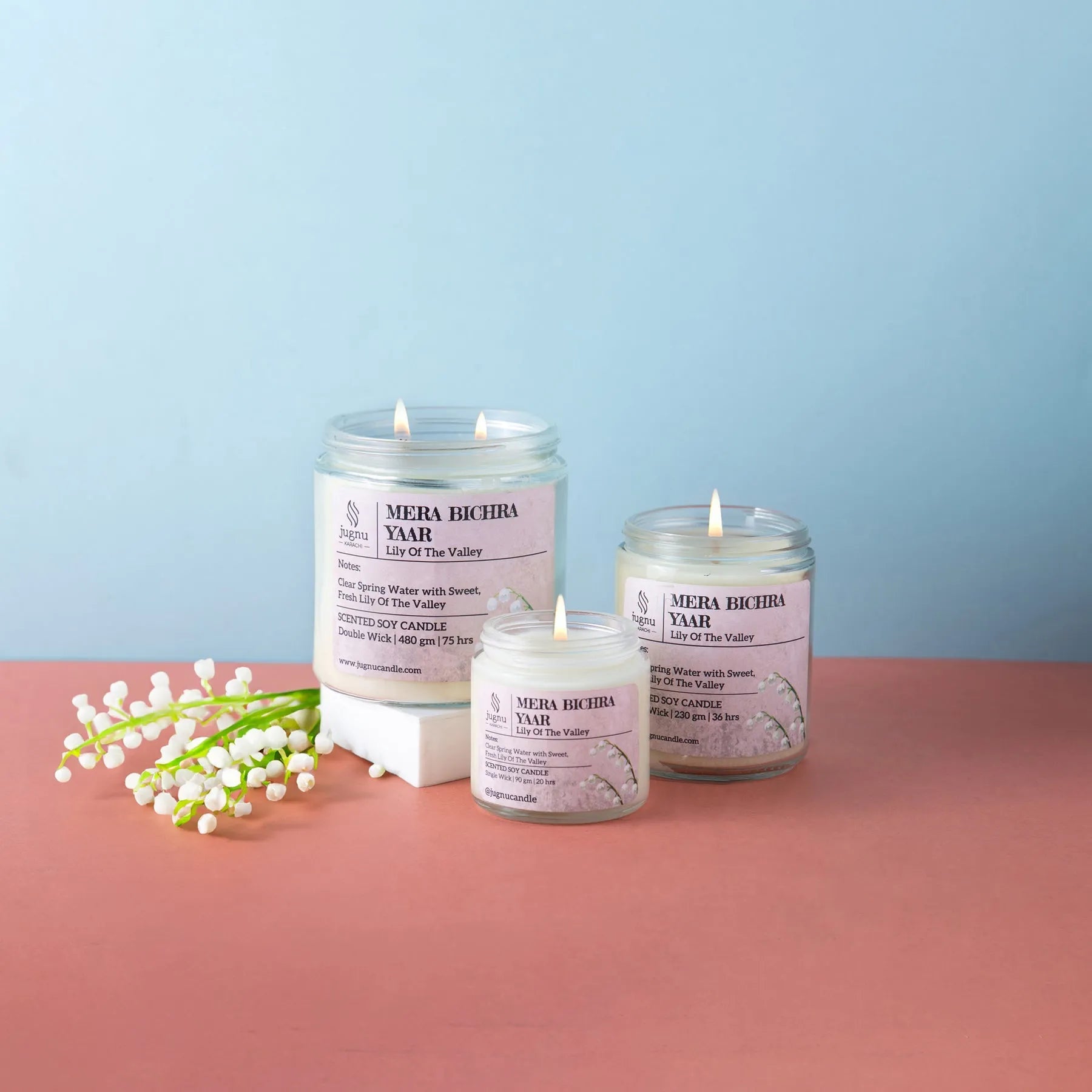 Sleek Mera Bichra Yar Scented Soy Candle in Price in Pakistan 
