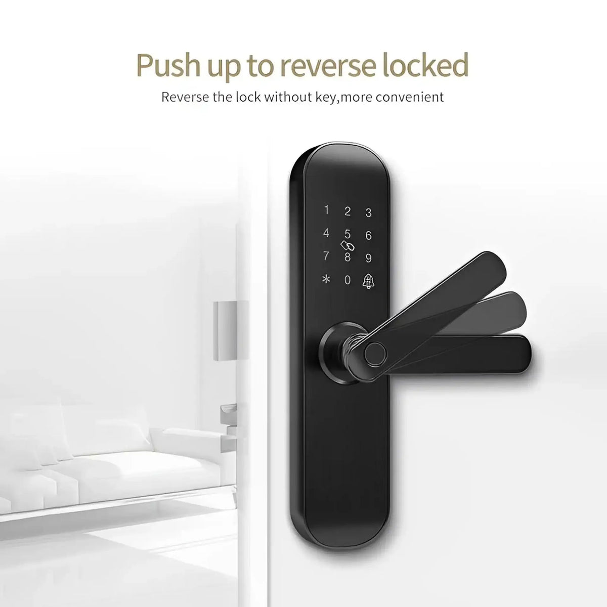 Okasha Door Lock Price in Pakistan