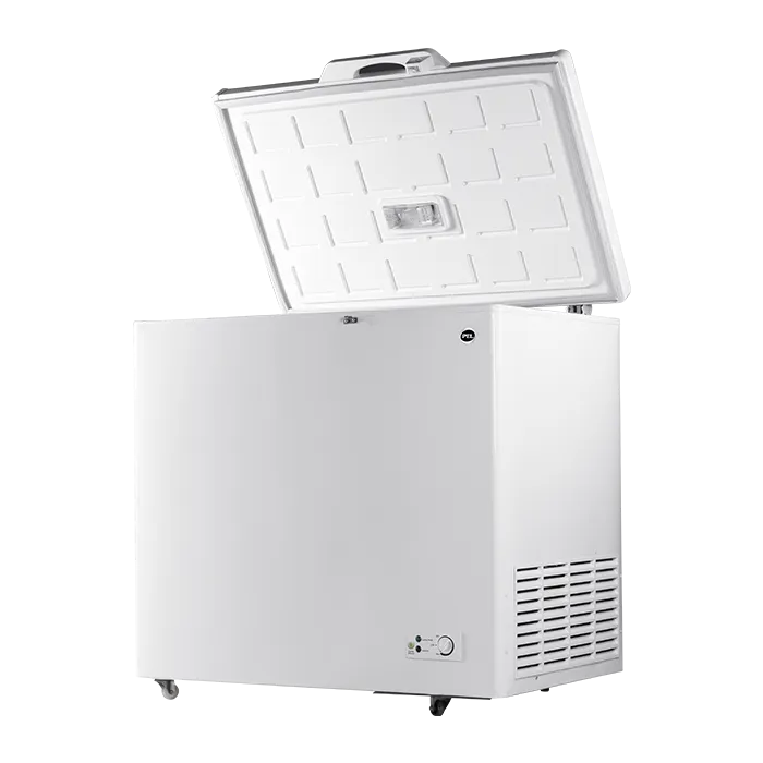 PEL PDF70-100 Single Door Deep Freezer 