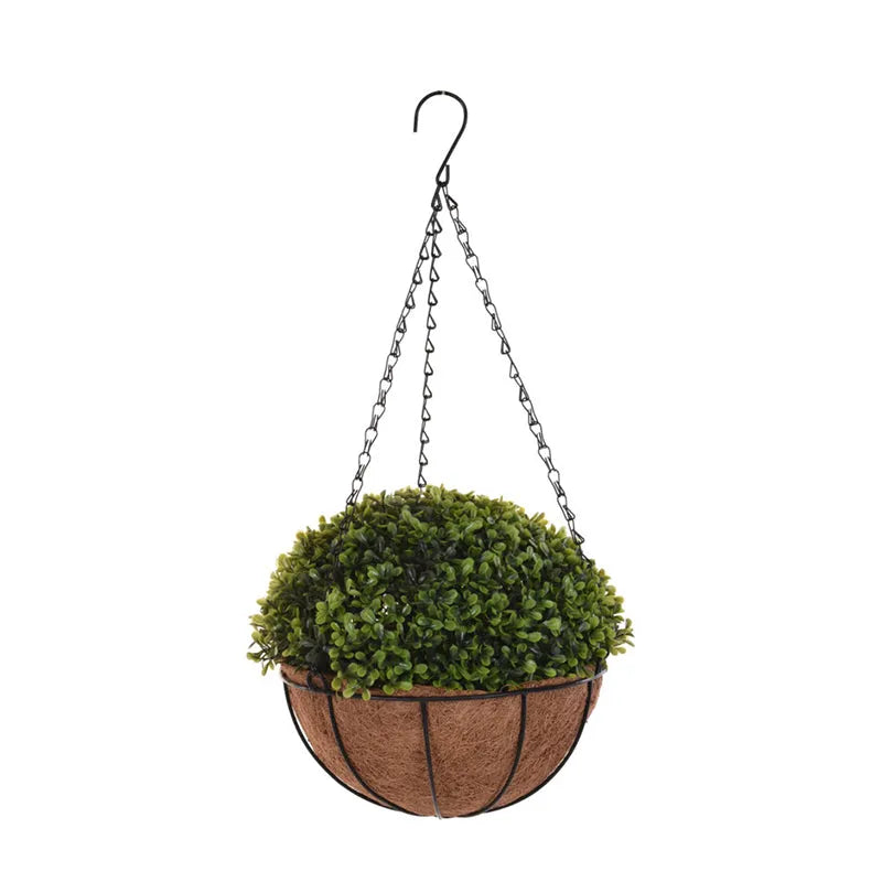 Decorative Plant In Round Pot Price in Pakistan 