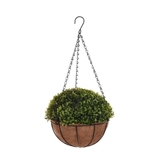 Decorative Plant In Round Pot Price in Pakistan 