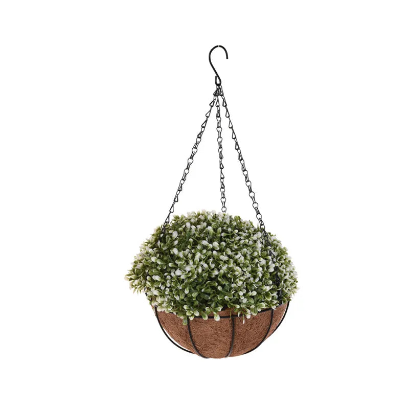Plant In Round Pot Price in Pakistan 