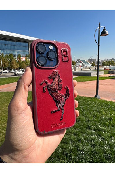 Santa Barbara iPhone Cover