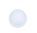 SE Bulkhead Light