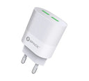Space Dual Port USB Wall Charger