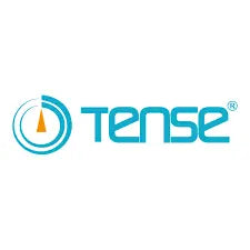Tense Price in Pakistan