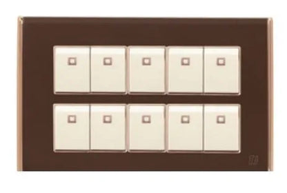 TJ Bell 10 Gang Flush Switch Brown