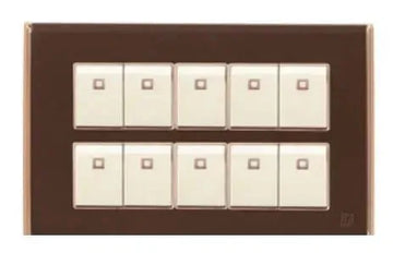 TJ Bell 10 Gang Flush Switch Brown