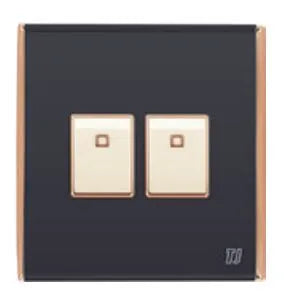 TJ Bell 2 Gang Flush Switch Grey