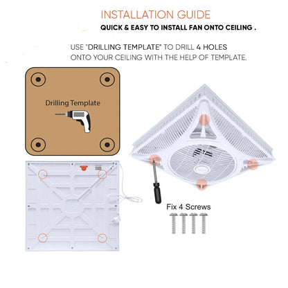 Voldam Innovative European Design Ceiling Fan (14 Inch)